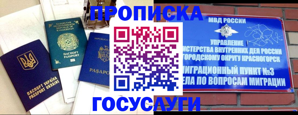 купить прописку в Полярных Зорях